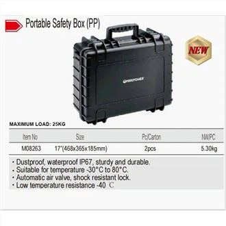 Cassetta di sicurezza portatile (PP)